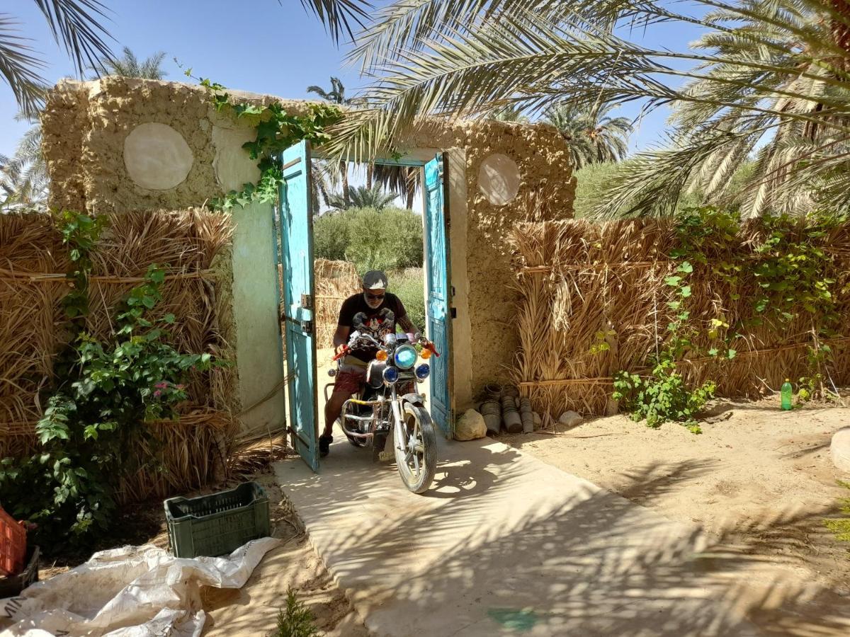 ホテル Sleep In Siwa シワ・オアシス エクステリア 写真
